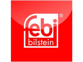 FEBI BLISTEIN